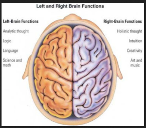 brain cole hall 2 parts